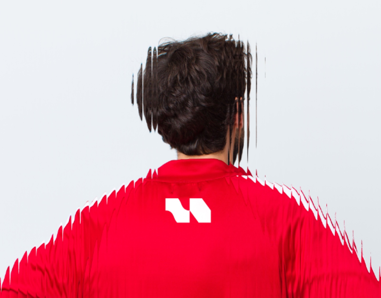 Reference: a portrait seen from behind, sliced into layered strips that carry the figure's data
